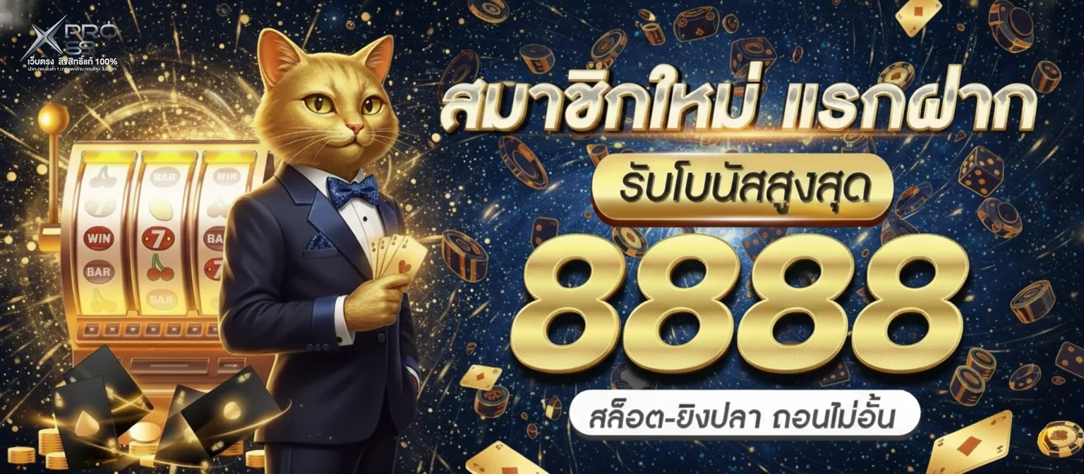 xpro88ทางเข้า